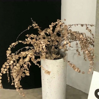 昌乐福瑞交流群